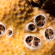 Illustration for article titled Beautiful photos of alien worlds hiding right here on Earth